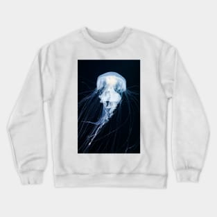 Egg-yolk jellyfish (C045/6860) Crewneck Sweatshirt